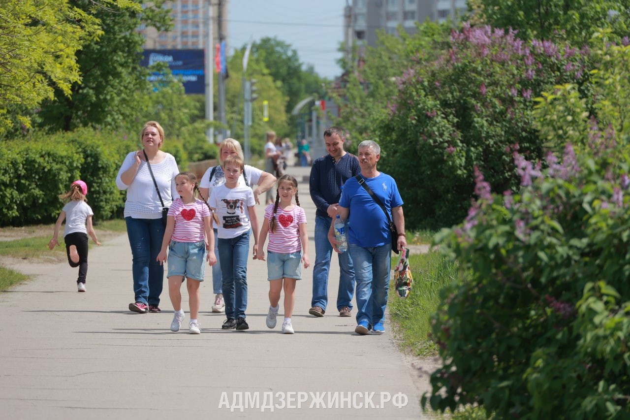 В Дзержинске продлен прием заявок на участие в фотопроекте «Династия» -  Администрация города Дзержинска